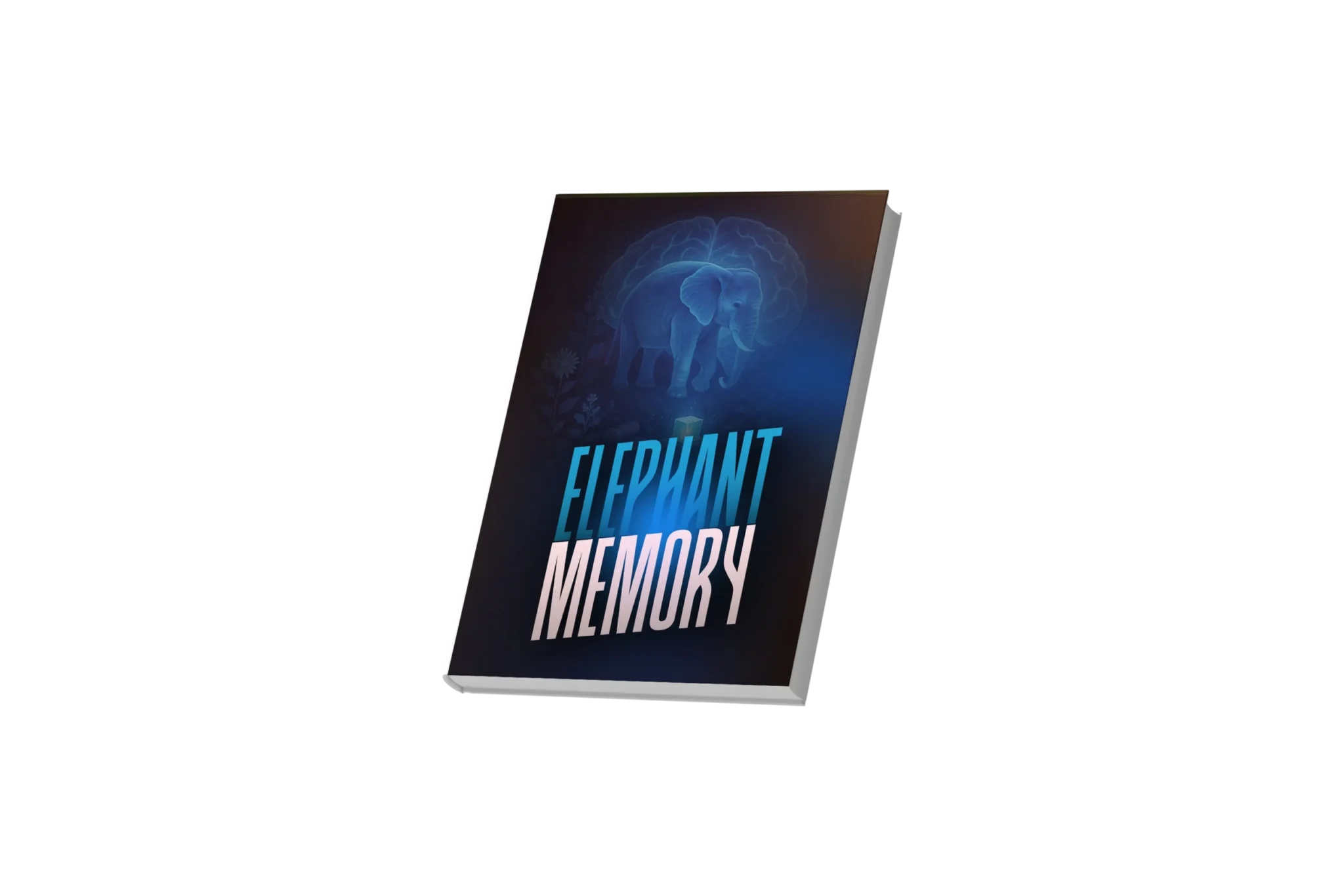  Bonus #2: Elephant Memory